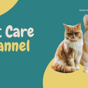 cat care society