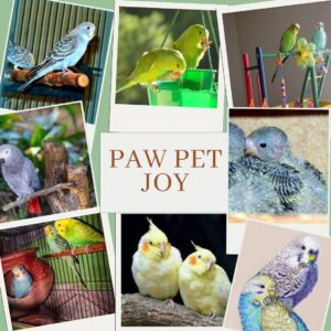 pet care near me