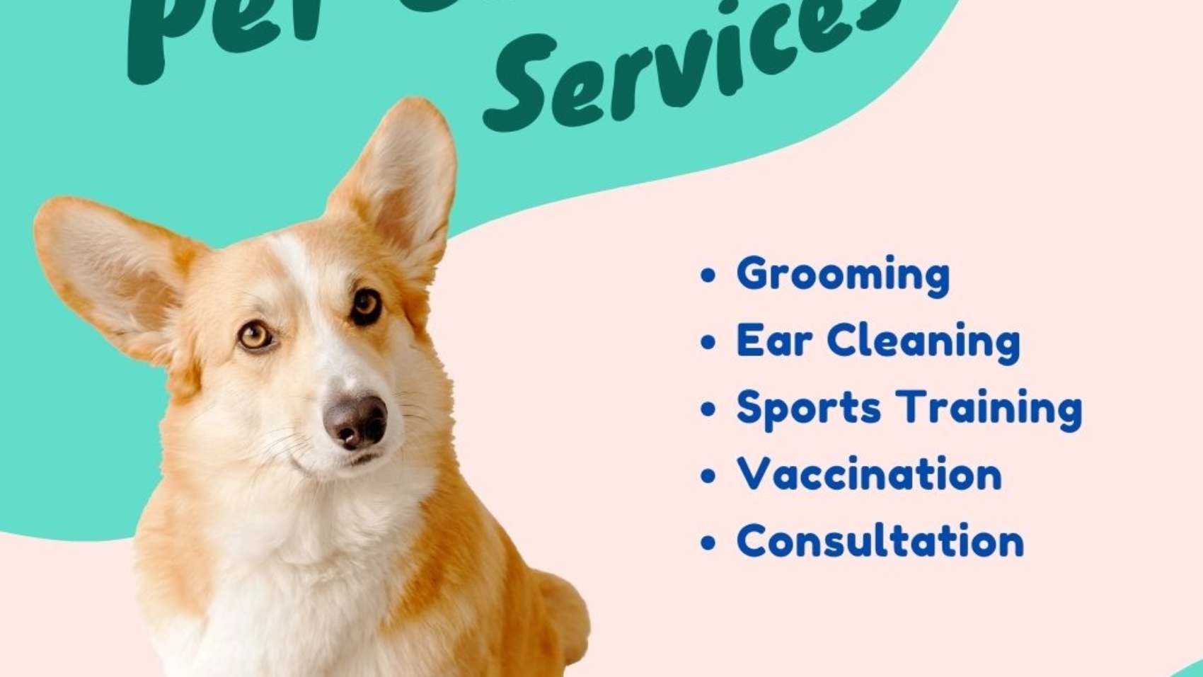 Responsible pet care