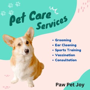 Responsible pet care