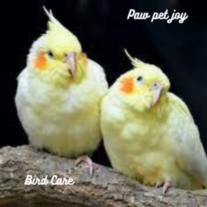 online bird care