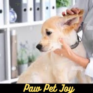 Best paw pet care