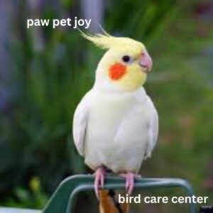 bird care center