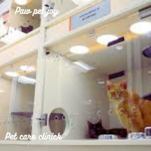 Cat care clinic