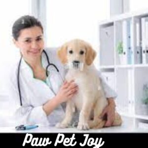 Best paw pet care