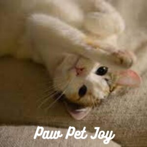 Best paw pet care