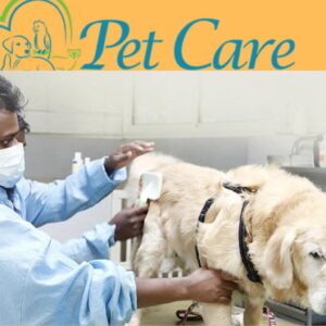 Responsible pet care