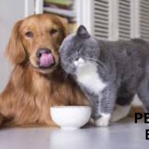 pet care center