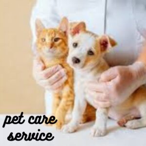 Pet care service