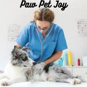 Best Pet Care Service