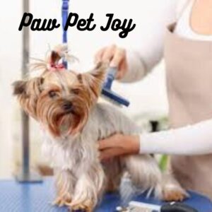 Best Pet Care Service