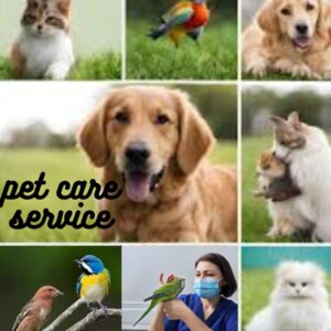 Pet care service