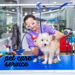 Pet care service