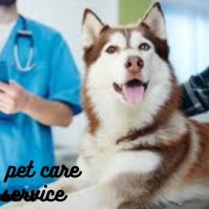 Pet care service