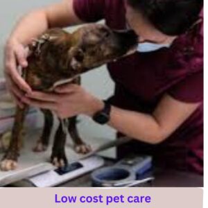 Low cost pet care