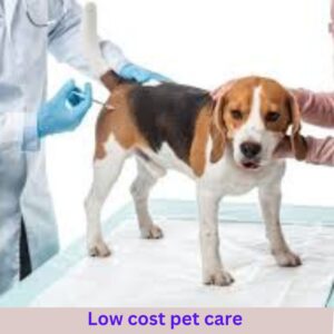 Low cost pet care