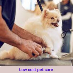 Low cost pet care