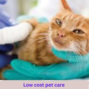 Low cost pet care