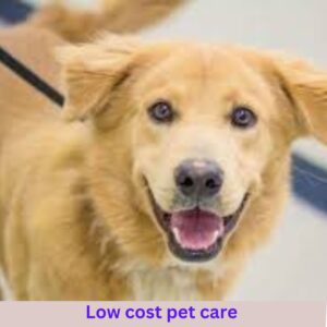 Low cost pet care