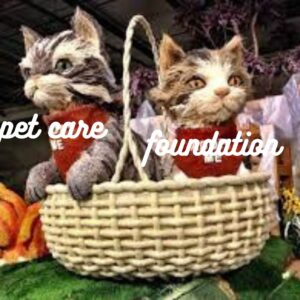 Pet Care Foundation