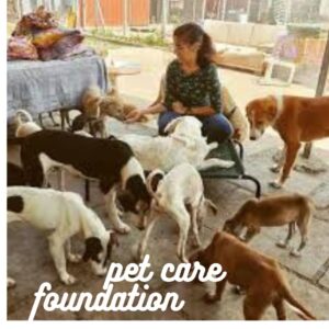 Pet Care Foundation