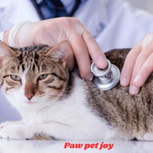 Cat Heartworm Treatment