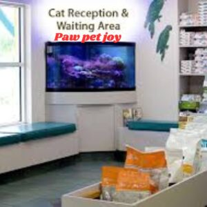 Cat Heartworm Treatment