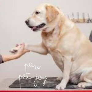 Paw-pet-care-grooming-