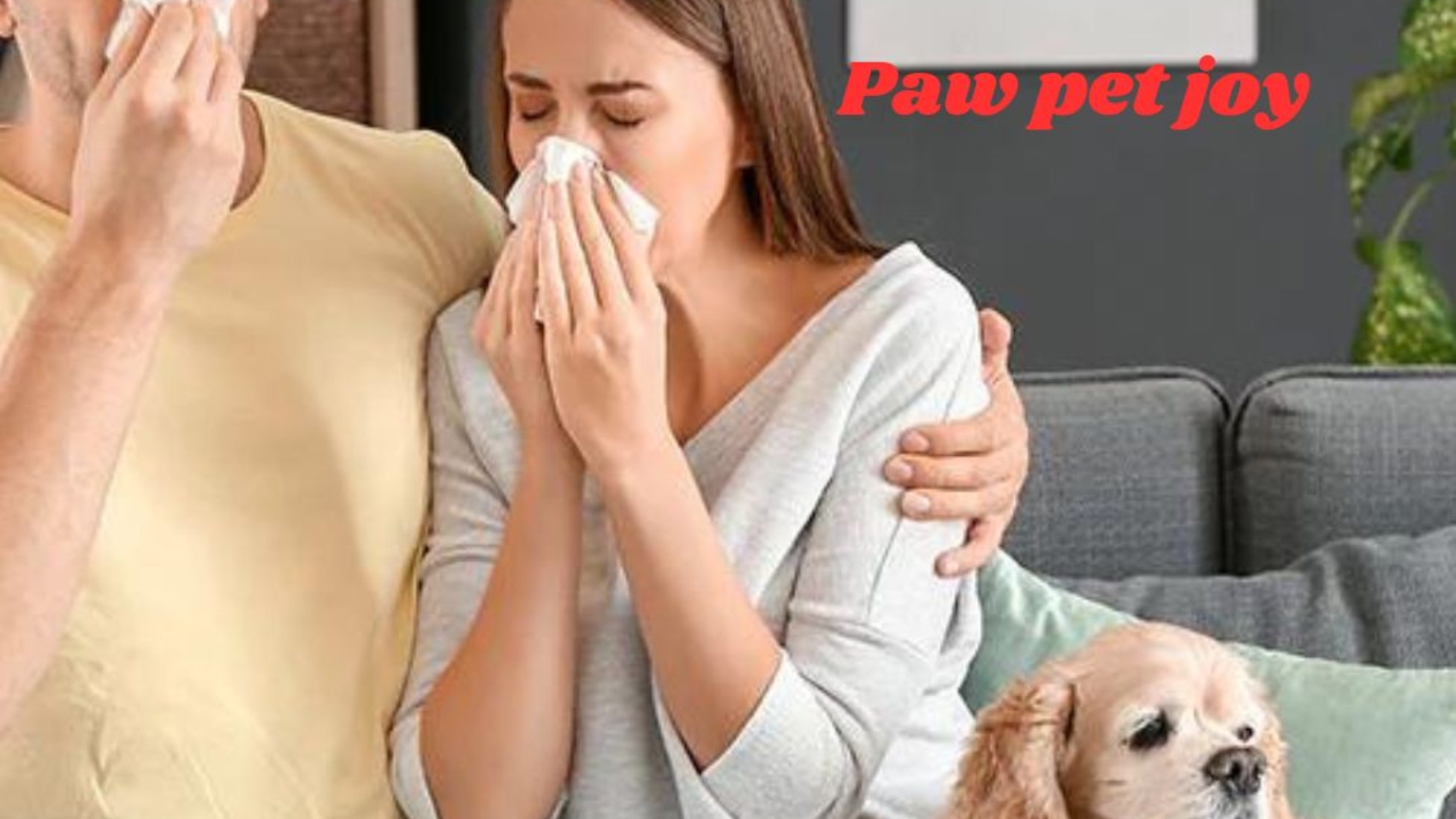 Pet Dander Allergies