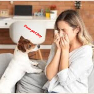 Pet Dander Allergies 