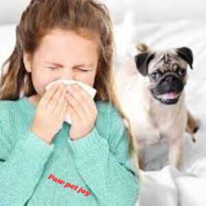 Pet Dander Allergies 