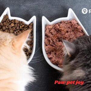 Wet Cat Food vs. Dry