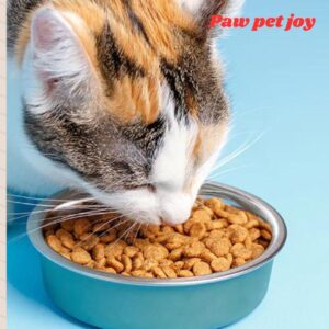 Wet Cat Food vs. Dry