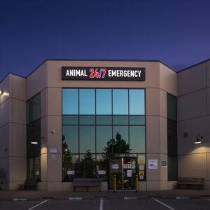 24 Hour veterinary Hospital