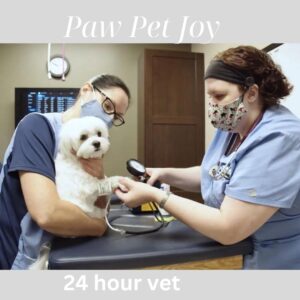 24 hour vet 