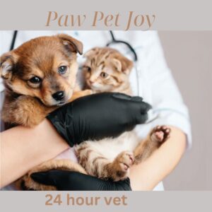 24 hour vet 