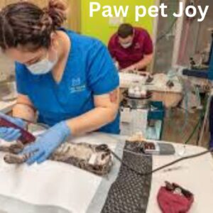 Low-Cost Pet Care clinic