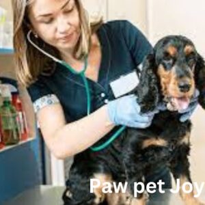 Low-Cost Pet Care clinic