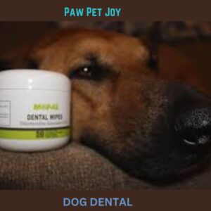 Dog dental 