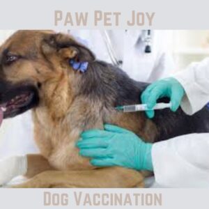 Dog Vaccination