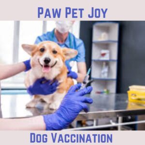 Dog Vaccination