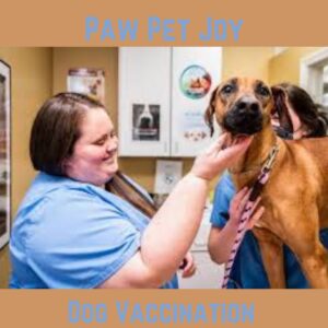 Dog Vaccination