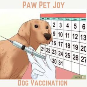 Dog Vaccination