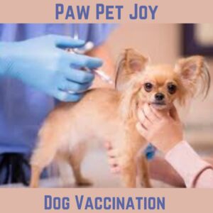 Dog Vaccination