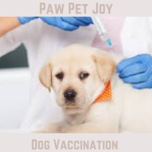 Dog Vaccination