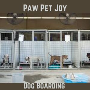 Dog boarding 