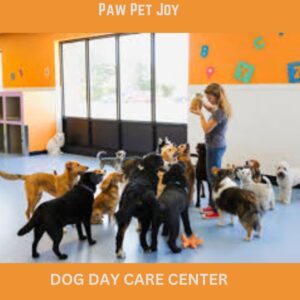 Dog day care center 