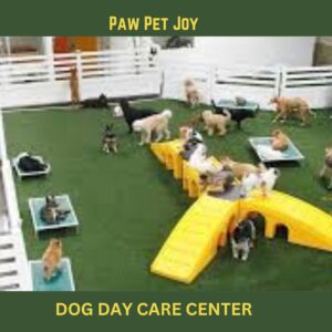 Dog day care center 