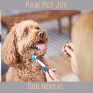 Dog dental 