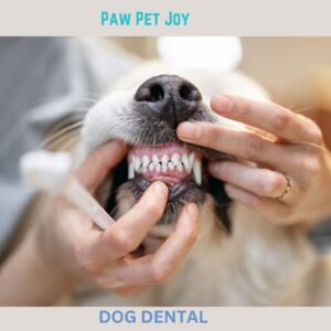 Dog dental 